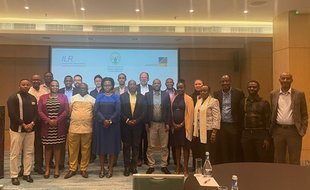 Group picture of the stakeholder workshop